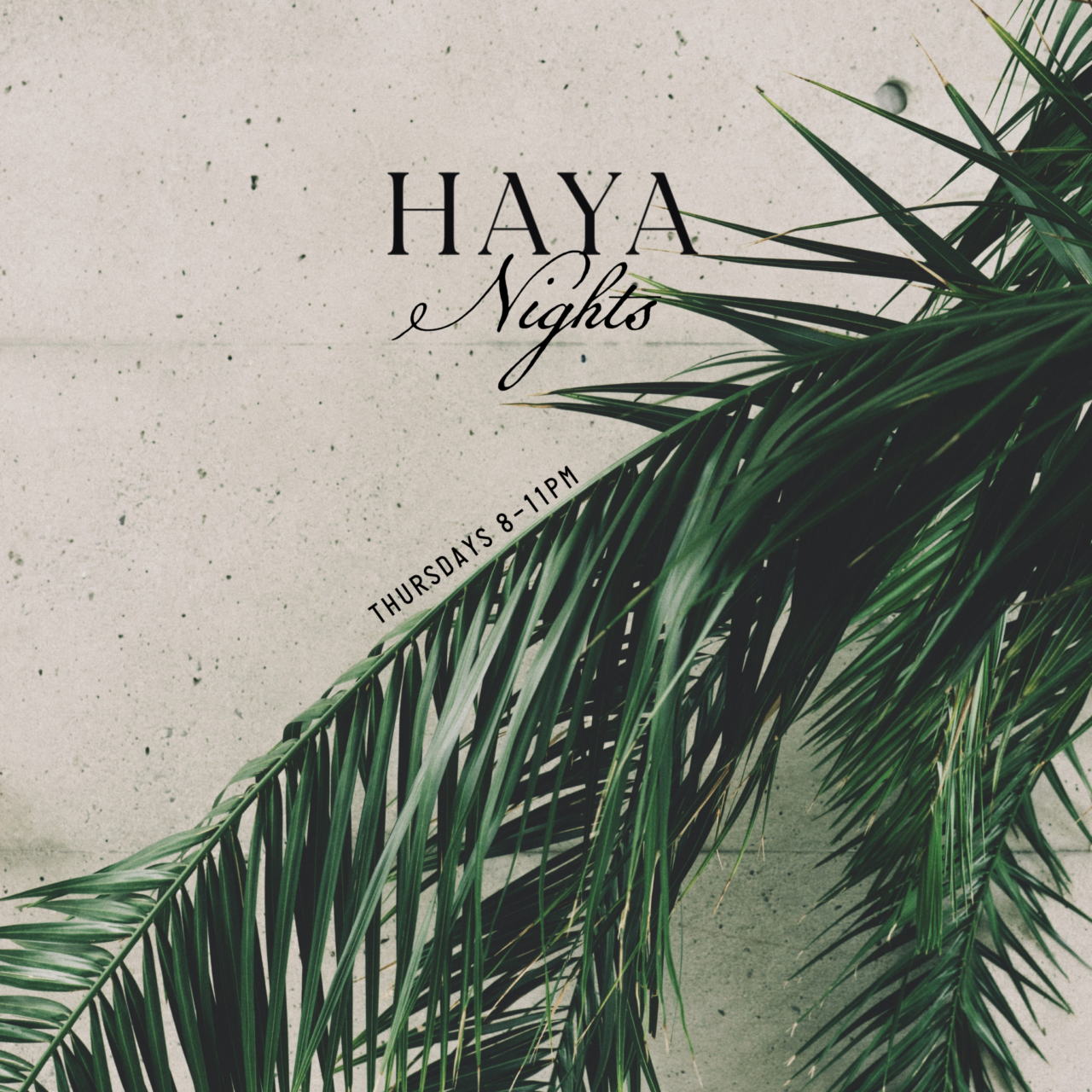 Haya Nights Flyer showing branches of a green plant going across he screen for Hotel Haya.