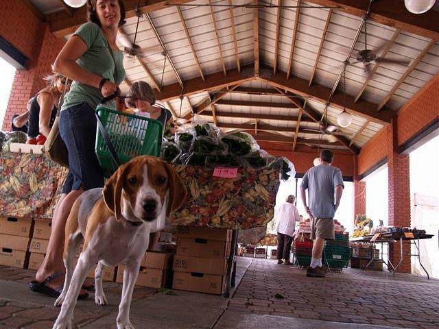 Ybor City Saturday Market