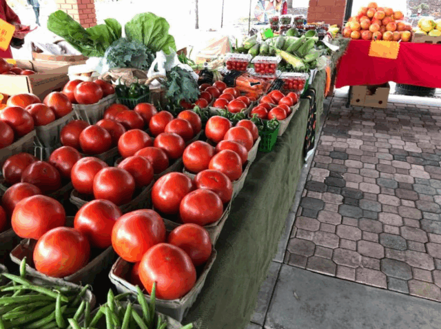 Ybor City Saturday Market
